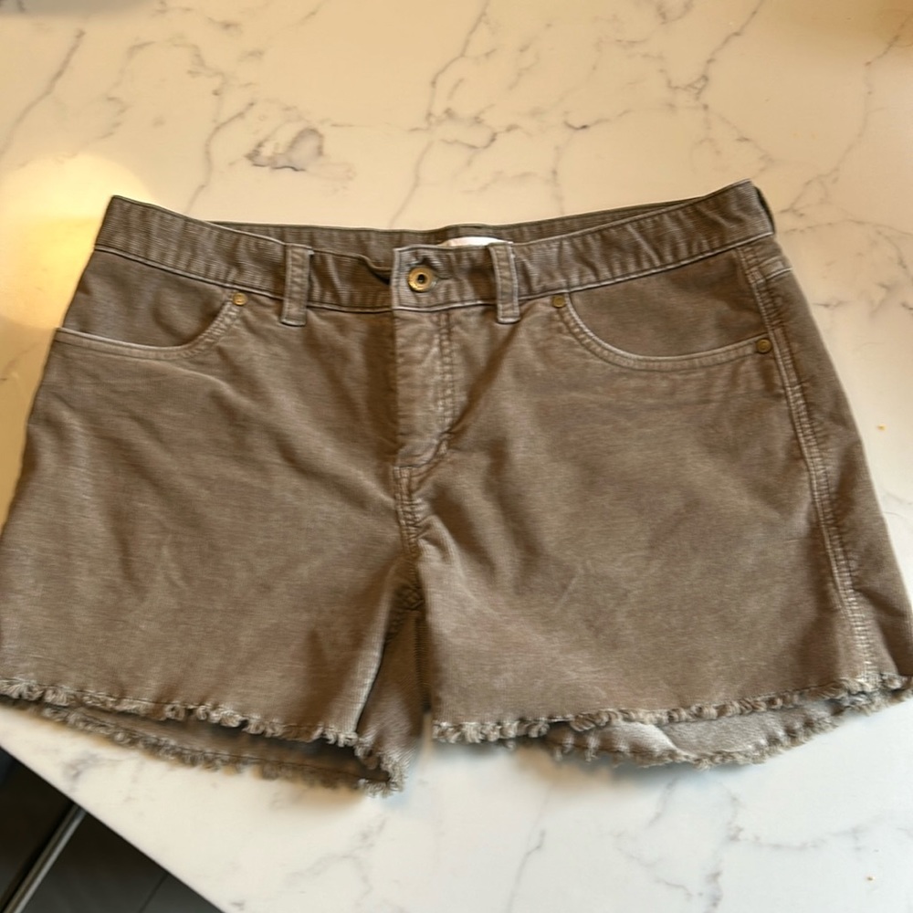 Carve designs shorts